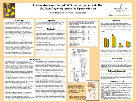 Undergraduate Research Symposium Poster Presentation