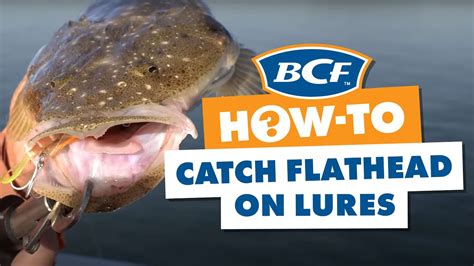 How To Catch Flathead On Lures Youtube