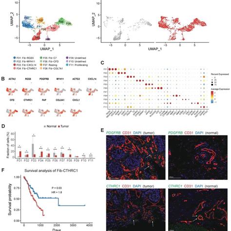 The Profile Of T And Nk Cells In Gastric Cancer A Umap Plots Of T And