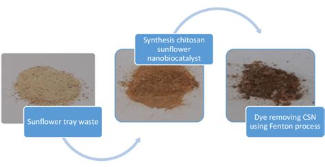 Fenton Process With Csn Download Scientific Diagram