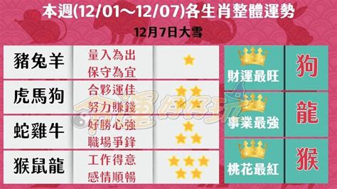 影／「三生肖」財運、事業運皆不佳 保守低調避損失 保庇網 Nownews今日新聞