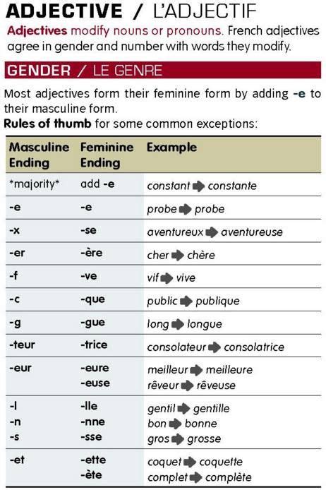 Adjectives Genre French Basics French Tips French Adjectives Learn French Beginner Grammar