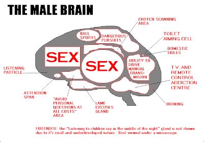 Fibonacci Sequence Love Sex And Brain Development In Adolescence