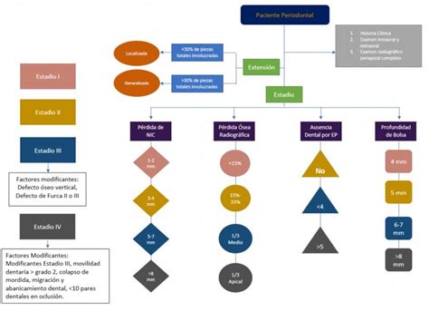 Principales Criterios De Diagn Stico De La Nueva Clasi Ficaci N De