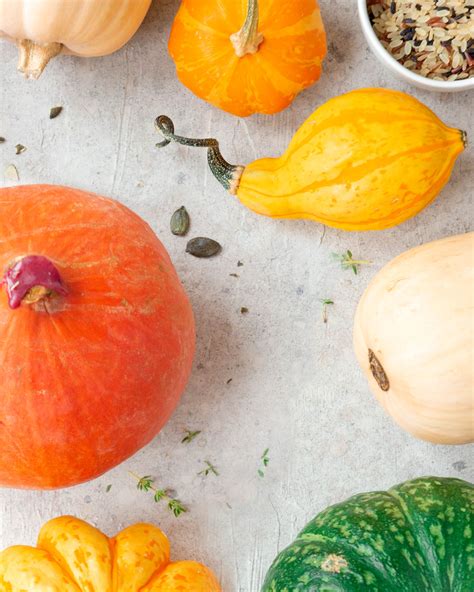 Le 7 varietà di zucca che devi assolutamente provare L ennesimo blog