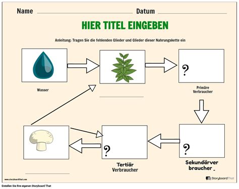 Arbeitsblatt zum Ökosystem der Nahrungskette Storyboard