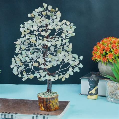 Incorporating Feng Shui Money Tree Into Your Life For Prosperity And Abundance