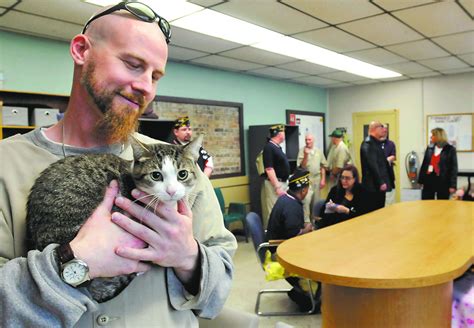 Cats In Prison Do Prisons Allow Inmates To Have Cats