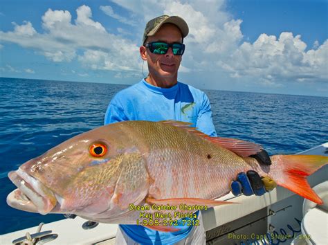 Mutton Snapper Spawn Key West Fishing Report