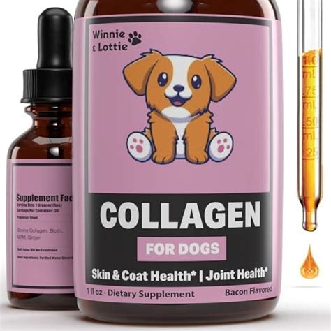 Skin And Coat Supplement For Dogs Cats Taily Liquid