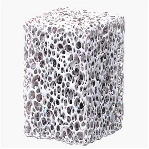 Bone Sponge Structure Bundle 3d Model