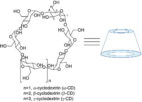 The Structure And Conformation Of α β And γ Cd Carbon Atoms Are