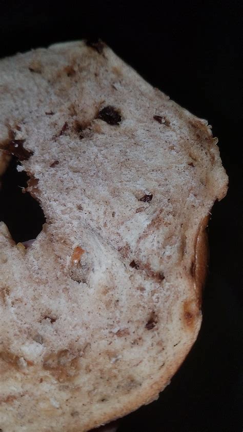 Are These Whitish Areas On This Bagel Mold Rwhatisthisthing