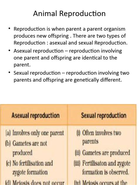 Animal Reproduction | PDF