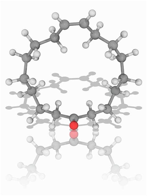 Civetone Organic Compound Molecule Photograph By Laguna Design Science