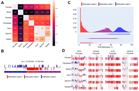 Ijms Free Full Text Single Cell Dna Methylation Analysis Of Chicken