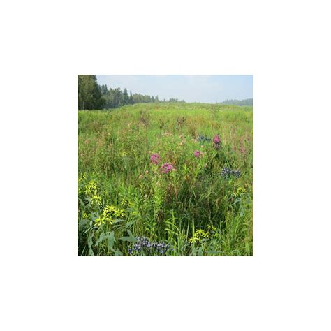 Mix 132 Northern Showy Retention Basin Mix Roundstone Native Seed