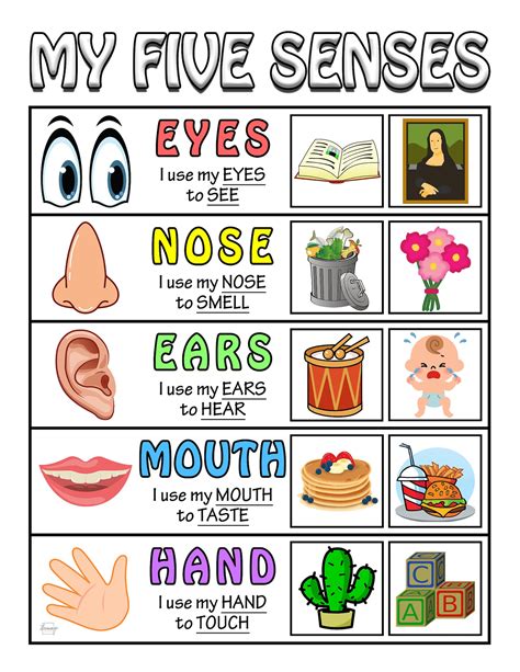 My 5 Senses Mini Book Bonus Anchor Chart Learning About Etsy Australia