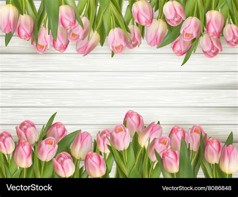 Pink Tulips Border Eps 10 Royalty Free Vector Image