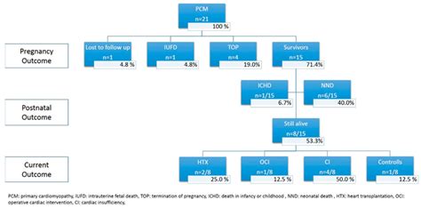 Flowchart Summarizing The Outcome Of Fetuses Prenatally Diagnosed