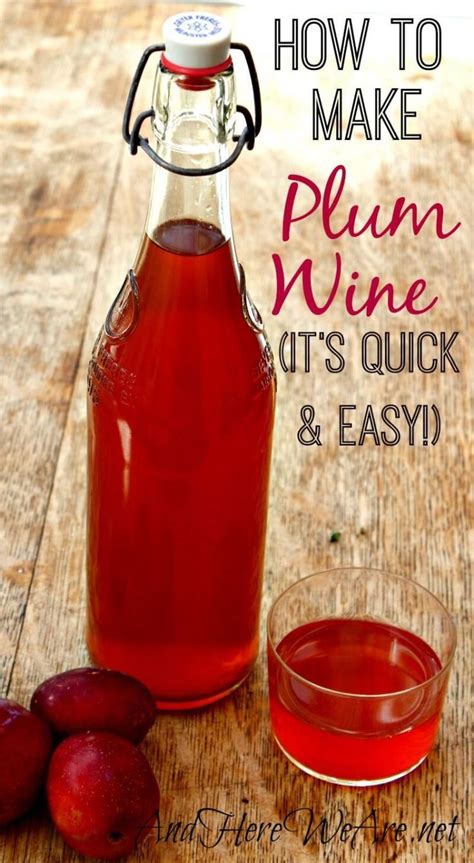 Quick And Easy Plum Wine And Here We Are Recipe Homemade Wine