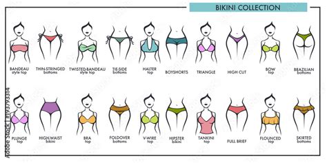 Woman Bikini Types Collection Vector Icons Of Fashion Lingerie Or