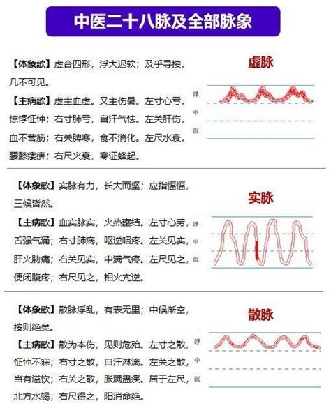 中医28脉及全部脉象详解值得学习 财经头条