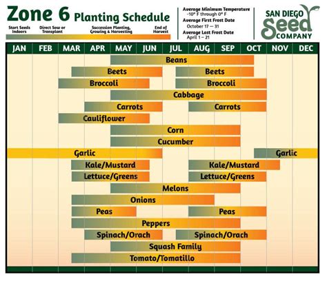 Printable Zone 6 Planting Schedule Francesco Printable