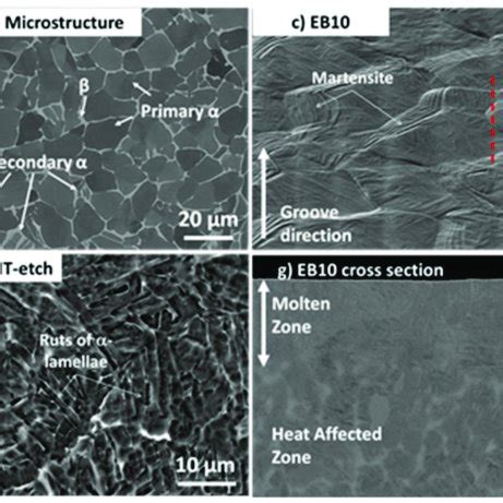 Fesem Images Of The Samples A Mp Sample Secondary Electron Se