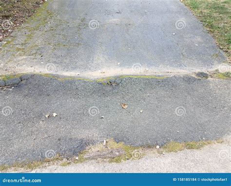 Worn Asphalt Driveway With Tree Root Underneath Stock Photo Image Of