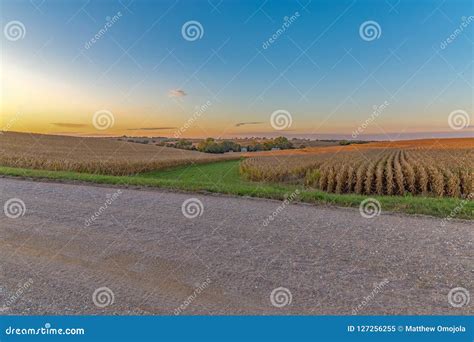 Beautiful Sunset with Beautiful Skyline Over a Corn Field in Omaha ...