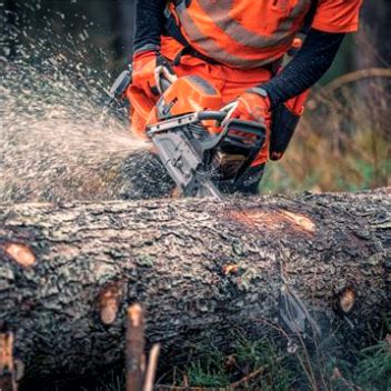 Marobin Riccardo Taglio Del Legno Motosega Xp Husqvarna