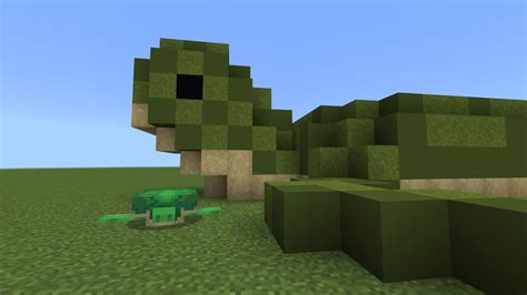 A Turtle Minecraft Map