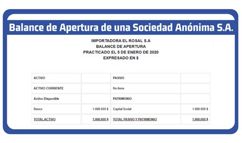 Asientos Contables De Apertura De Una Sociedad Anonima Actualizado