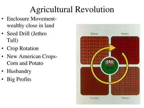 PPT - Agricultural revolution Industrialization Begins PowerPoint ...