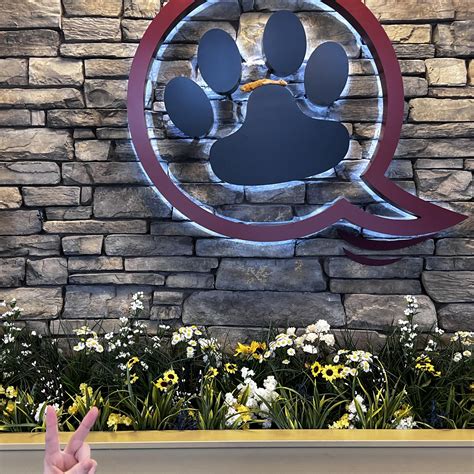 river trail animal hospital