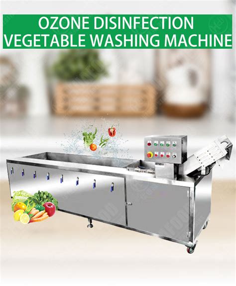 Vegetable Fruit Ozone Bubble Washing Sterilizing Machine Vegetable