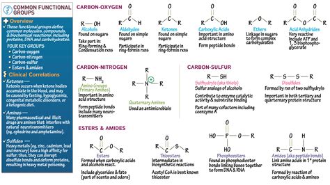 Acetyl Functional Group