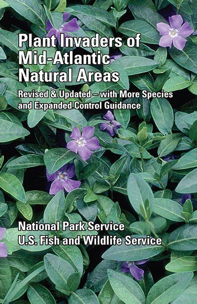 Invasive Plants In Maryland