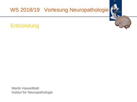 Pdf Ws Vorlesung Neuropathologie Entz Ndung Retrograde