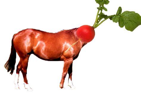 visual pun explanation examples ideas kyle boyd