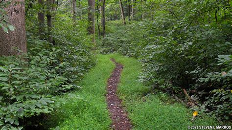 Catoctin Mountain Park Browns Farm Trail Bringing You America One