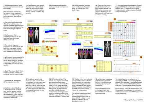 How To Read Your DEXA Scan Report DEXA Scan UK Bodyscan