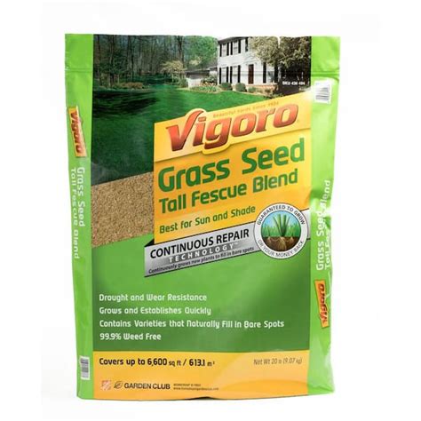 Vigoro 20 Lb Tall Fescue Grass Seed Blend 52217 The Home Depot