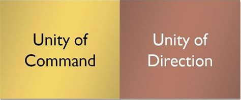 Difference Between Unity of Command and Unity of Direction (with ...