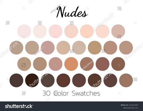 Collection Color Palettes Nude Tones Stock Vector Royalty Free Shutterstock