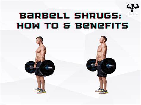 Barbell Shrugs How To Benefits FitDominium