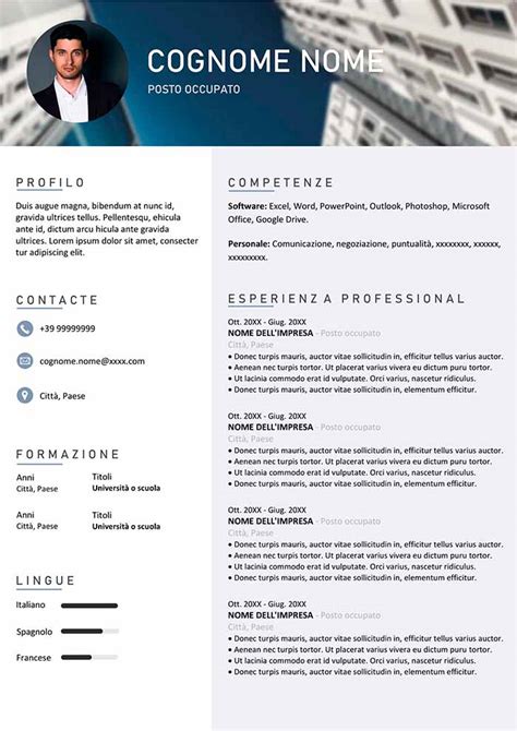 Curriculum Vitae Pronto Da Stampare Gratis Modello CV Word