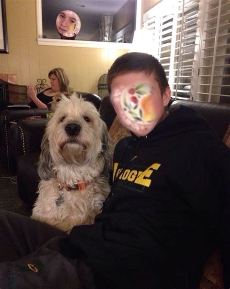 Automatic face swap with my dog went amazing - Meme Guy