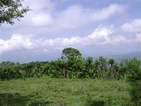 Unknown Object Photographed over Guatemala